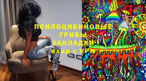 гидра Балахна