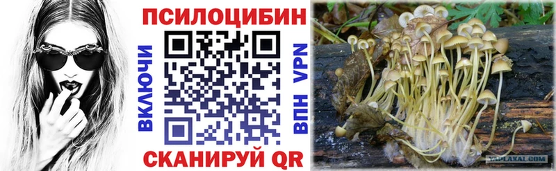 Псилоцибиновые грибы прущие грибы  Воркута 
