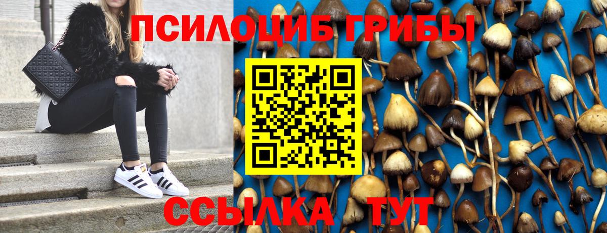 Галлюциногенные грибы Cubensis Воркута