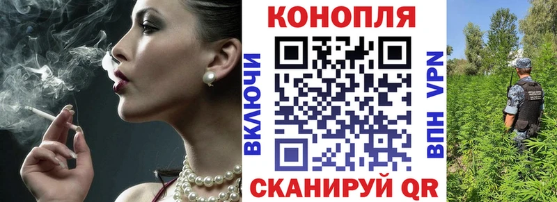 Конопля планчик  Воркута 